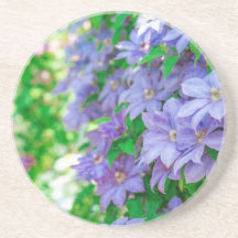 Lila Clematis-blomma
