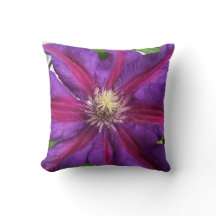 Lila Clematis Blommar
