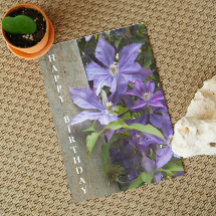 Lila Clematis Blommigt Birthday