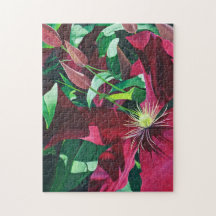 Lila Clematis Blommigt