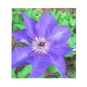 Lila Clematis Flower Anteckningsblock