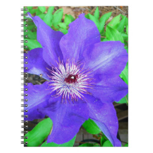 Lila Clematis Flower Anteckningsbok Med Spiral