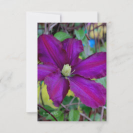 Lila Clematis Flower Anteckningskort