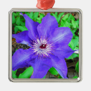 Lila Clematis Flower Julgransprydnad Metall
