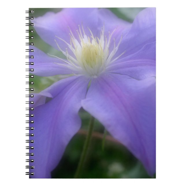 Lila Clematis Flower Nature Anteckningsbok (Framsidan)