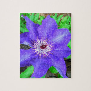 Lila Clematis Flower Pussel