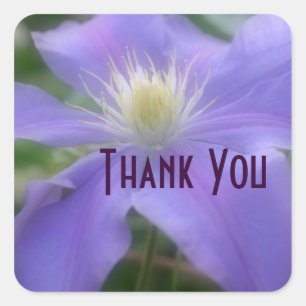 Lila Clematis Flower Tack Sticker Fyrkantigt Klistermärke