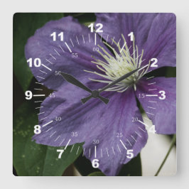Lila Clematis Fyrkantig Klocka