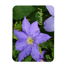 Lila Clematis Gratitude Magnet
