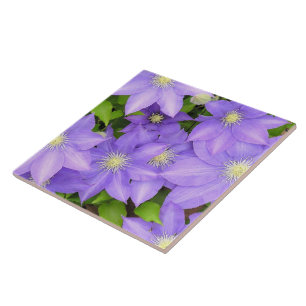 LILA CLEMATIS (PHOTOG) STORA CERAMISKA TILEN/TRIVE KAKELPLATTA