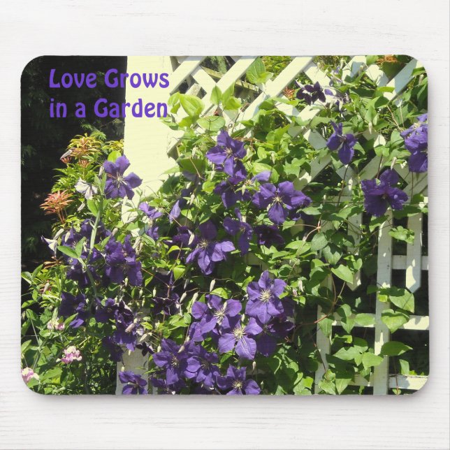 Lila Clematis Trädgårdsspråk Musmatta (Framsidan)