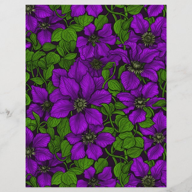 Lila Clematis vine (Framsida)