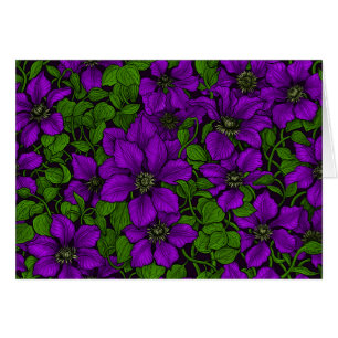 Lila Clematis vine Hälsningskort