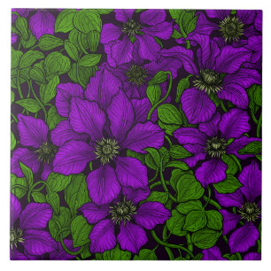 Lila Clematis vine Kakelplatta