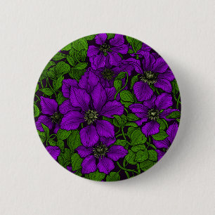 Lila Clematis vine Knapp
