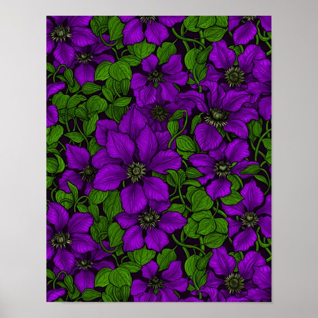 Lila Clematis vine Poster (Framsidan)