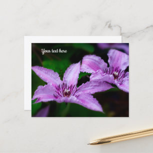 Lila Clematis vykort