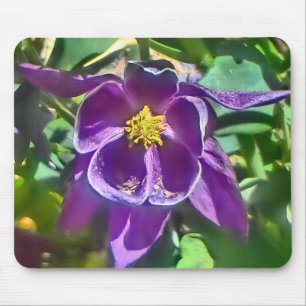 Lila columbine moussat musmatta