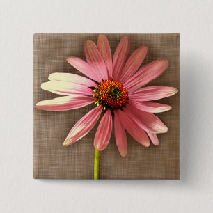 Lila Cone Flower Echinacea purpurea Knapp