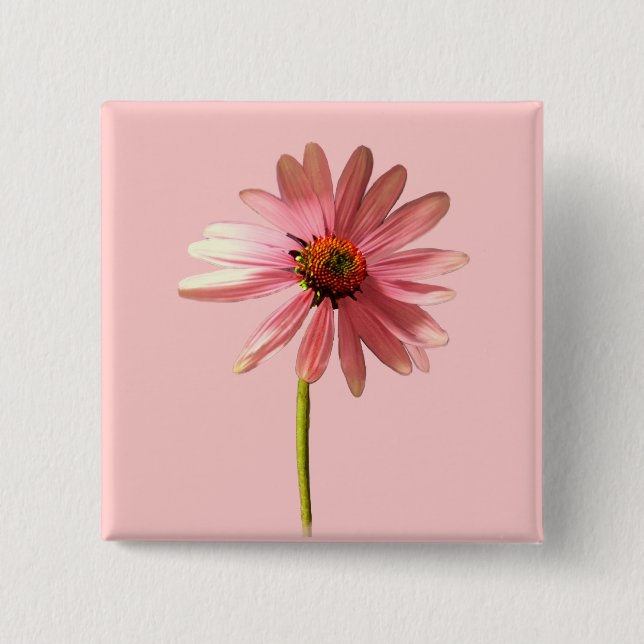 Lila Cone Flower Echinacea purpurea Knapp (Framsida)