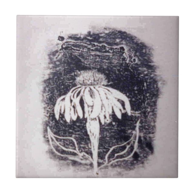 "Lila Cone Flower" Kitchen Garden Ceramic Tile Kakelplatta (Framsidan)