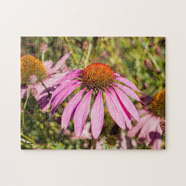 Lila Coneflower Jigszle Puzzle Pussel (Horisontell)