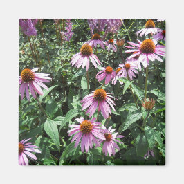 Lila Coneflower Magnet