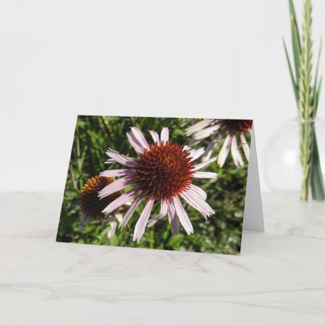 Lila Coneflower Notecard Kort (Framsida)
