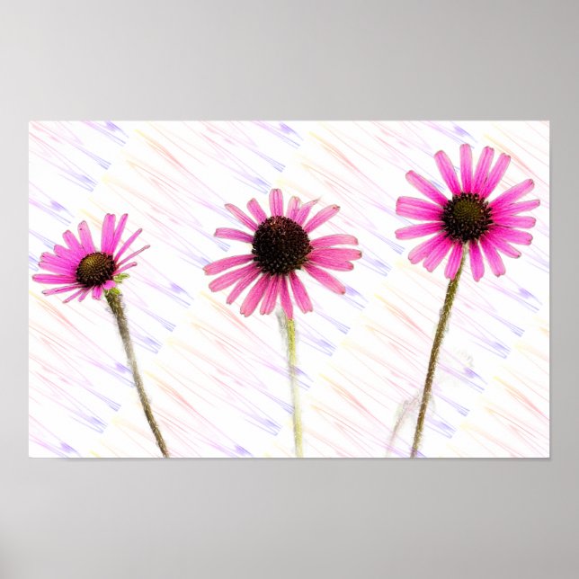 Lila Coneflower Photo Poster (Framsidan)