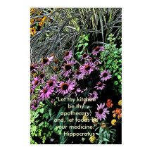 Lila Coneflower Poster