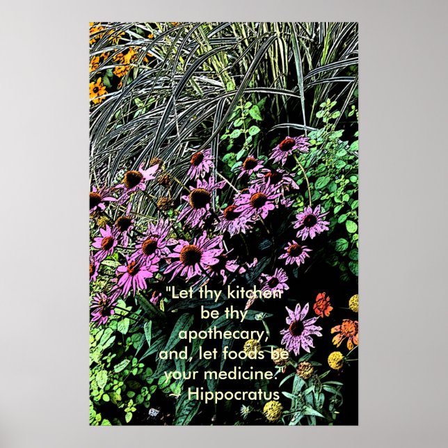 Lila Coneflower Poster (Framsidan)