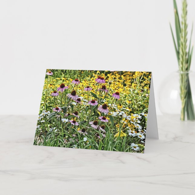 Lila Coneflowers and Daisys Art Card Kort (Framsida)