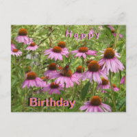 Lila Coneflowers & Butterfly Birthday Postcard