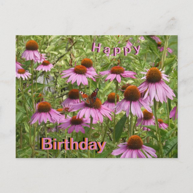 Lila Coneflowers & Butterfly Birthday Postcard Helg Vykort (Framsida)