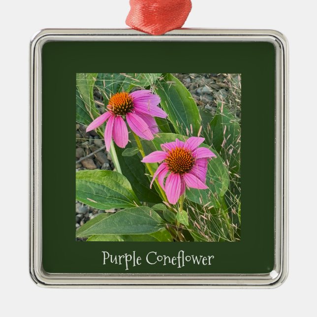 Lila Coneflowers Ornament (Framsidan)