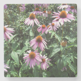 Lila Coneflowers Stenunderlägg