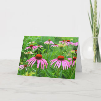 Lila Coneflowers Tack Kort