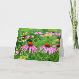Lila Coneflowers Tack Kort