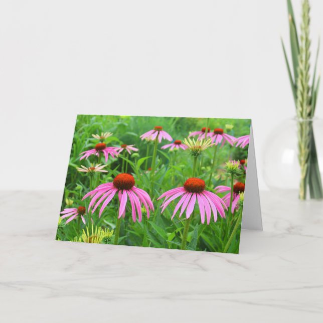 Lila Coneflowers Tack Kort (Framsida)