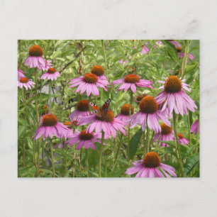 Lila Coneflowers with Butterfly DIY Postcard Helg Vykort