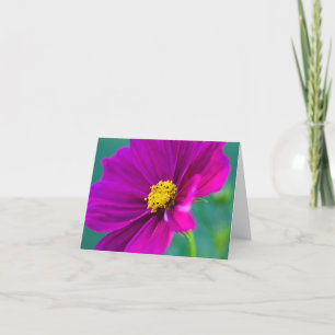 Lila Cosmos blomma Grattiskort Kort