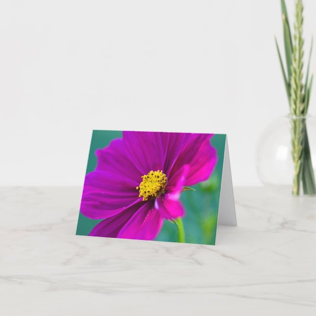 Lila Cosmos blomma Grattiskort Kort (Framsida)