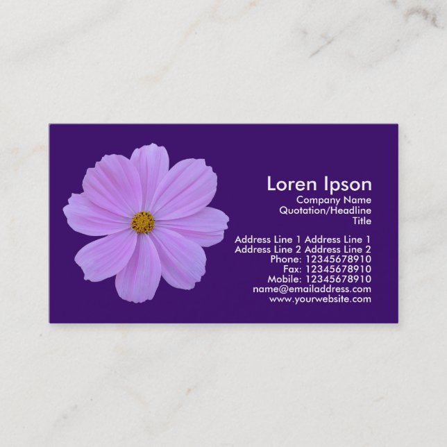 Lila Cosmos - Mörkens Lila (330066) Visitkort (Framsida)