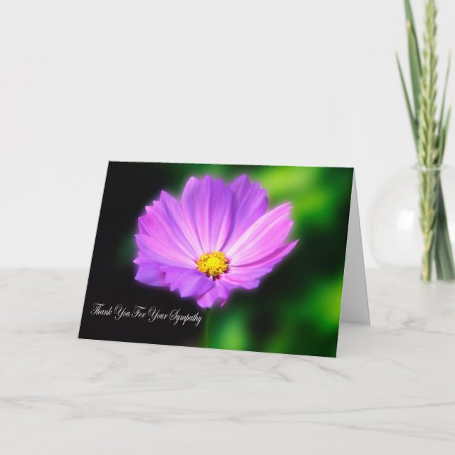 Lila Cosmos Tack Sympathy Card Kort (Framsida)