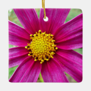 Lila Cosmos Wildblomma Julgransprydnad Keramik