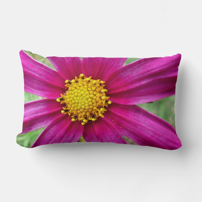 Lila Cosmos Wildblomma Lumbarkudde (Framsida)