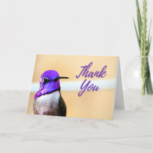 Lila Costa's Hummingbird Photo - tackkort