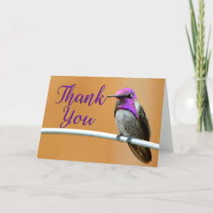 Lila Costa's Hummingbird - tackkort