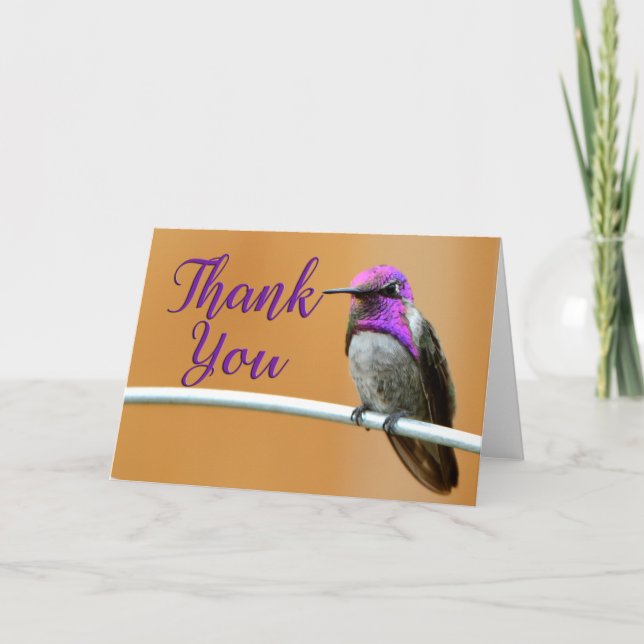 Lila Costa's Hummingbird - tackkort (Framsida)