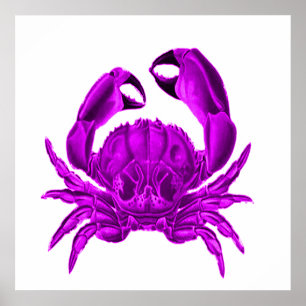 Lila Crab Beach House Decor Poster